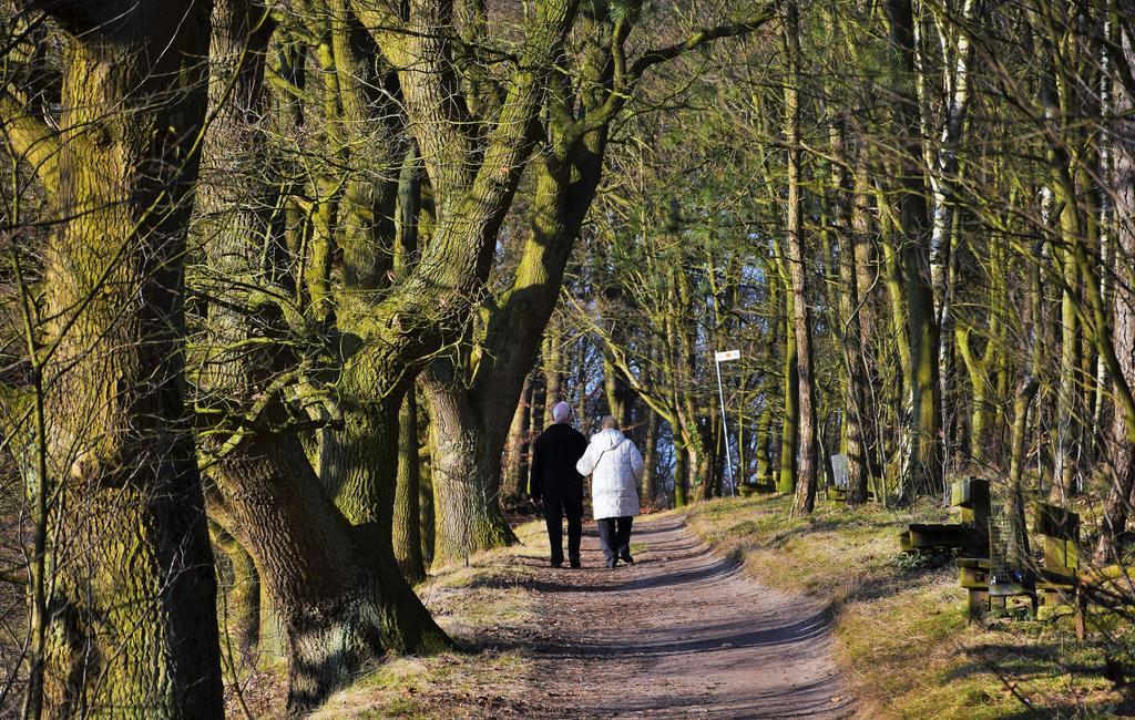 Alter Ortskern Worpswede Daire Oda fotoğraf